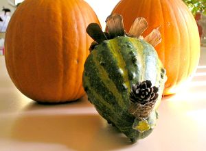 Gourd Turkey front view by rlcnt