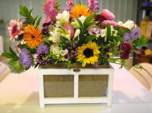 DIY mini greenhouse arrangement by rlc