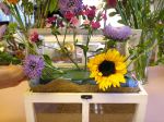 mini greenhouse flower placement by rlc