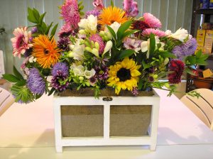 mini greenhouse arrangement finish