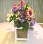 mini greenhouse side 1 by rlc