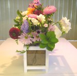 mini greenhouse side 2 by rlc